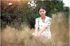 桃源架桥，用杨梅架起一座穿越千年的桥梁图片