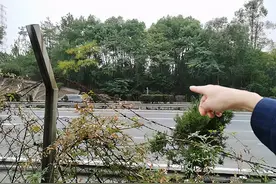 江西八旬老人中千万彩票后死于荒野，子女因钱反目图片