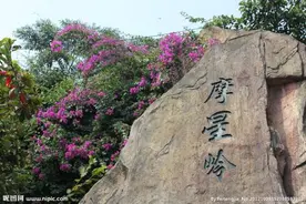 五一登白云山——羊城揽胜绝佳处：白云山摩星岭图片