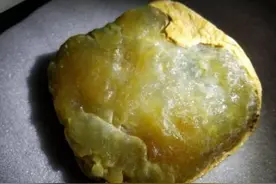 一块金黄翡加工出来的巨蟒，看了让人直起鸡皮疙瘩，栩栩如生！图片