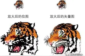 科研论文作图系列-从PPT到AI (一)图片