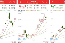 透析2021首月股价大涨、2020年报预告业绩大涨名单图片