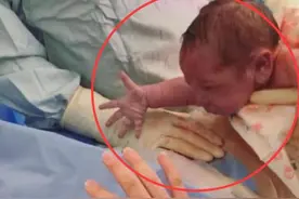 新生儿太“着急”，刚出生就向妈妈求抱抱，孩子举动温暖众人图片