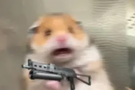 「CSGO搞笑图集」顶级操作图片