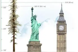 地球上5棵摩天大树，一棵比云层还高8英尺，我国这棵被叫望天树图片