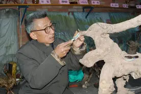 谢氏根雕：枯木再逢春图片