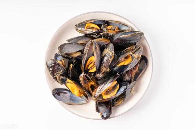 3月,海虹正当时令,挑"白肉"还是"黄肉"?弄错难吃还不肥美