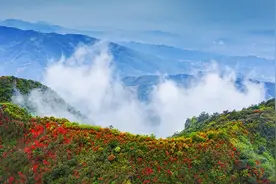 杨岐山景区、武功山景区国庆黄金周收官，各自创收达......图片