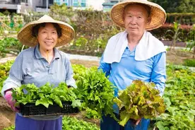 中国丈母娘把豪华别墅花园改成菜地，洋女婿回来后懵了图片