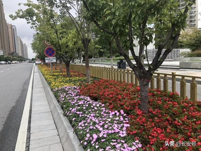 超赞!西安经开区全面发力打造城市靓丽名片