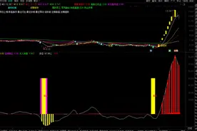 通达信指标公式分享：定海神针图片
