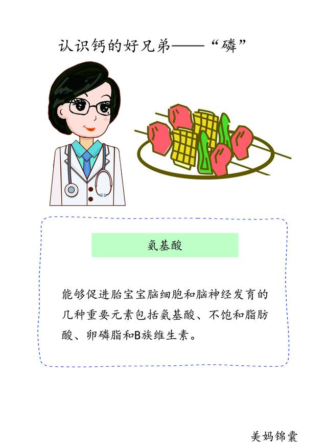 孕期必备营养素之氨基酸和DHA