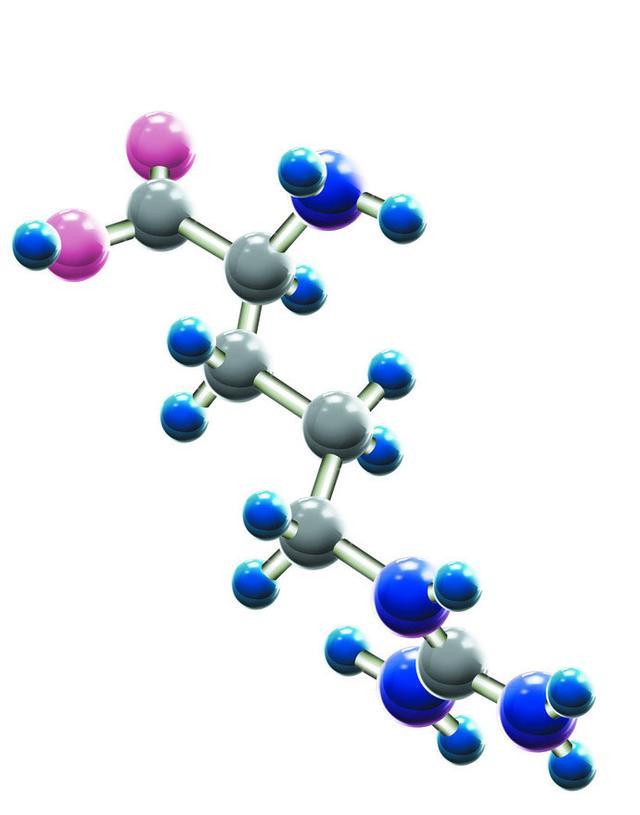 [考研必背]生物化学笔记第四章：蛋白质的化学（一）
