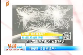 羽绒服该怎么选择？充绒量和含绒量都得标清楚，鹅绒比鸭绒更保暖视频封面