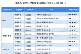 「最全」2021年中国印制电路板行业上市公司全方位对比分析图片