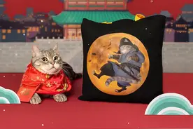 这都是什么神仙萌物！居然比我的猫...还可爱？图片