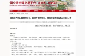 正式开始招标！固始这几个地方要拆迁了图片