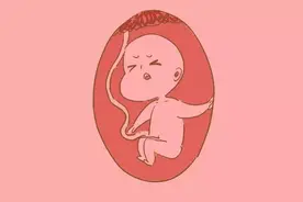 胎动是宝宝正在和你打招呼呢，这些婴语你都get了吗？图片