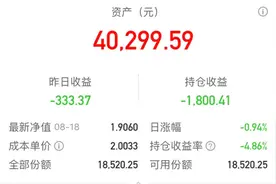 4万块买基金亏了1800元，如何买才能少亏钱？图片