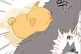 「漫画」狼王：狼王的尾巴图片