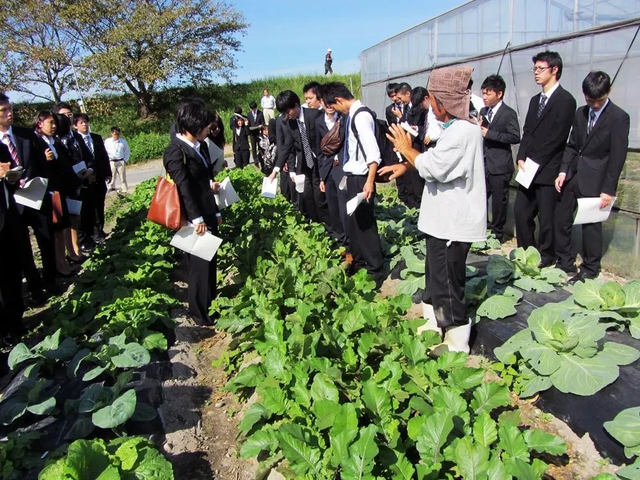 日本中央政府表彰过的开心农场：Myfarm的共享模式，是怎么运营的