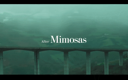 ��13����Ƭ������һ����Ӱ�ڣ������и���