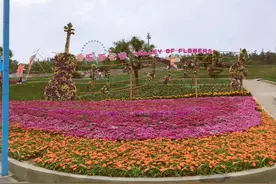 阳光明媚，打卡网红地——音乐.百花谷图片