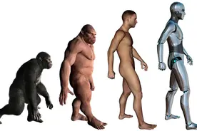从尹烨讲生物性别想到的图片