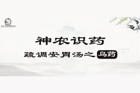 《神农识药》疏调安胃汤之乌药图片