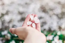 《醒世恒言》：眼看清真相，心守住欲望图片