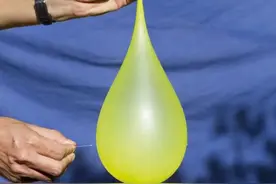 鸟为什么不怕辣？你什么时候该撒尿？这些都与今年诺奖有关图片