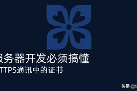 服务器开发程序员必须搞清HTTPS通讯之证书图片