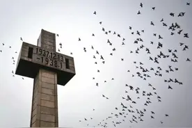 南京大屠杀后，一个中国人应聘进入日本总领事馆，展开了复仇计划图片