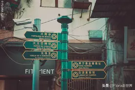 现在去澳门怎么玩？需要隔离吗？你想要知道的都在这里图片