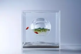 云亚科技模型 |“鱼缸造景”遇到“3D打印”：鱼儿们懵圈了图片