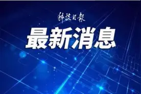 总投资2万亿元！河南将重点支持1000个服务业重大项目图片