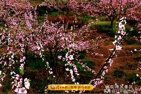 常德是什么神仙城市？是陶渊明笔下的“世外桃源”，还听过刘禹锡的赞美，见过李白的惆怅……图片