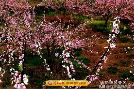常德是什么神仙城市？是陶渊明笔下的“世外桃源”，还听过刘禹锡的赞美，见过李白的惆怅……图片