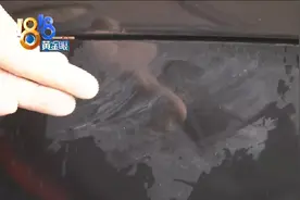 三辆车变得“灰蒙蒙”，清洗费用得上万？图片
