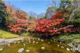 「东京秋季旅游」趁着宜人秋风探访日本东京传统庭园、公园或群山图片