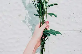太过敏感 太过注重细节的人 都不快乐图片