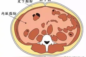 肚子上的脂肪怎么减？大肚腩、啤酒肚，腰两侧赘肉怎么减？图片