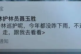 支付宝蚂蚁森林四周年：1 号林发来消息，梭梭「被迫睡着」图片