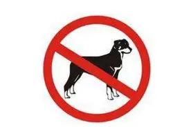 城区十大禁养犬种，中华田园犬意外上榜，惹人争议！图片