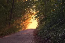 消失的爱人，这种痛是一辈子迈不过去的坎图片