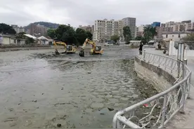 普宁河道干涸，大量繁殖期罗非鱼搁浅河道，有人一筐筐捞走图片