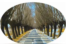 寻味微型诗：林克强、荒漠甘泉、温馨月赏析《脚印》图片