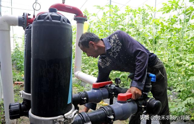 腐植酸、氨基酸、海藻酸、鱼蛋白，都是啥肥料？都有啥作用？