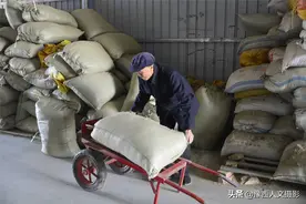 74岁大叔打工养兔子，兔粪种出好苹果，却成老人心中遗憾图片