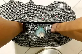 猫咪捡到一只小鹦鹉，一个月后已成功被带偏，还跟喵星人学会偷窥图片